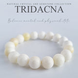 Tridacna bracelet collection. Genuine natural and unheated gemstone with Certificate of Authenticity