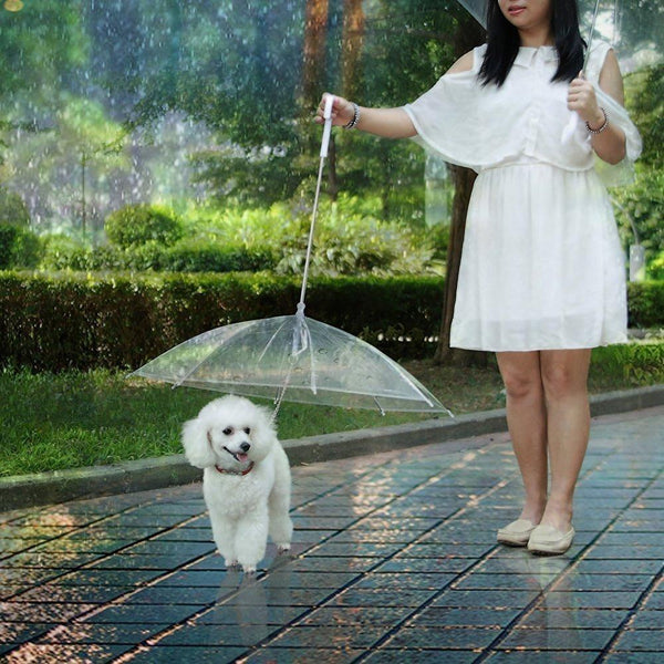 Reverse Pet Umbrella by SOL Home ® (Pets)